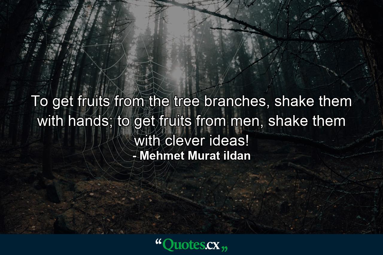 To get fruits from the tree branches, shake them with hands; to get fruits from men, shake them with clever ideas! - Quote by Mehmet Murat ildan