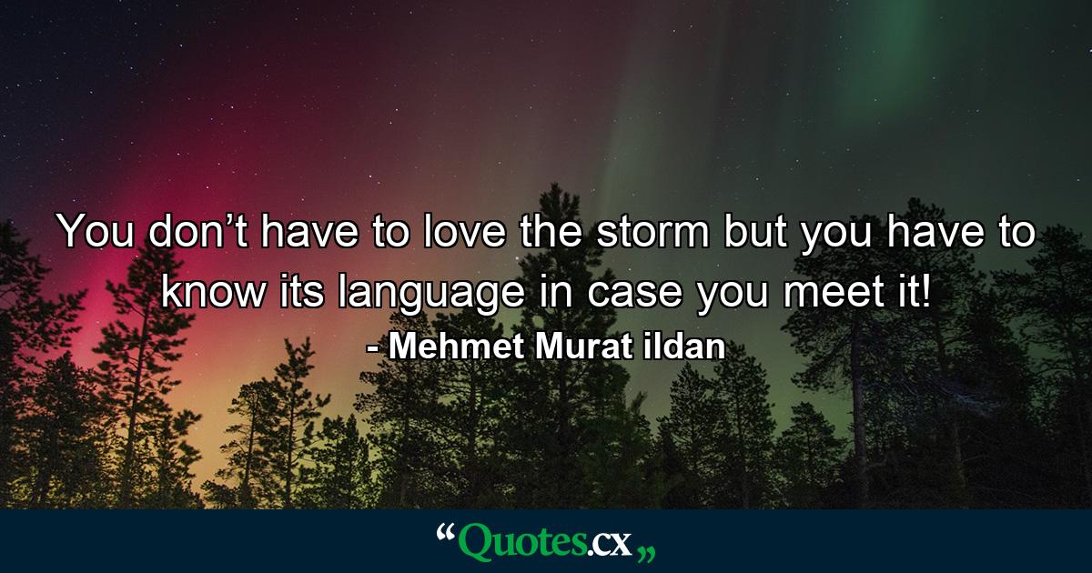 You don’t have to love the storm but you have to know its language in case you meet it! - Quote by Mehmet Murat ildan