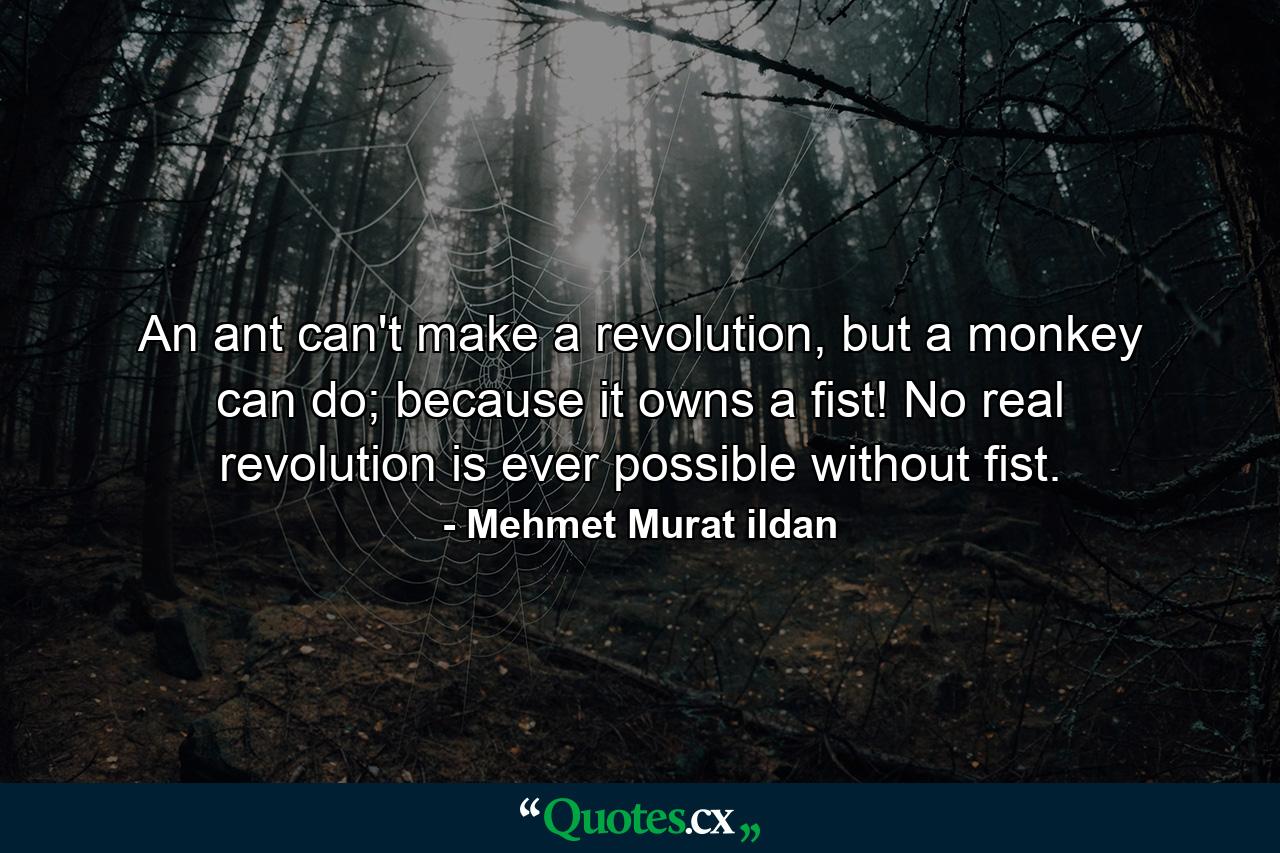 An ant can't make a revolution, but a monkey can do; because it owns a fist! No real revolution is ever possible without fist. - Quote by Mehmet Murat ildan