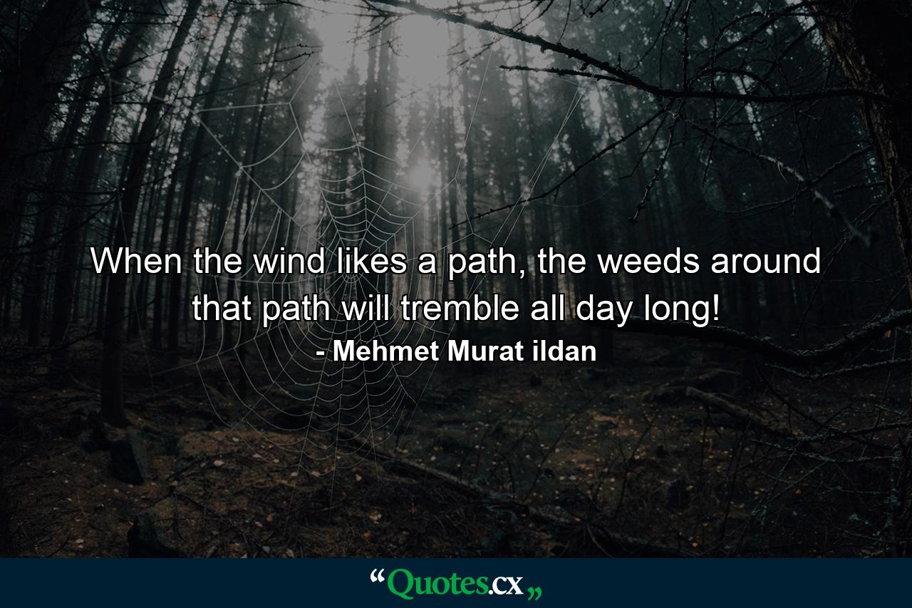 When the wind likes a path, the weeds around that path will tremble all day long! - Quote by Mehmet Murat ildan