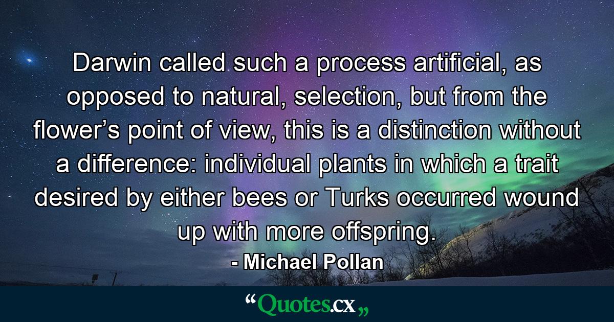 Darwin called such a process artificial, as opposed to natural, selection, but from the flower’s point of view, this is a distinction without a difference: individual plants in which a trait desired by either bees or Turks occurred wound up with more offspring. - Quote by Michael Pollan