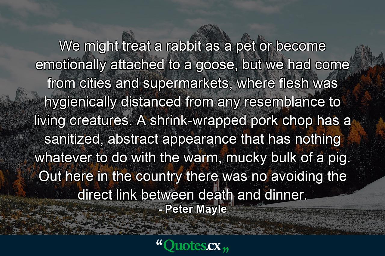 We might treat a rabbit as a pet or become emotionally attached to a goose, but we had come from cities and supermarkets, where flesh was hygienically distanced from any resemblance to living creatures. A shrink-wrapped pork chop has a sanitized, abstract appearance that has nothing whatever to do with the warm, mucky bulk of a pig. Out here in the country there was no avoiding the direct link between death and dinner. - Quote by Peter Mayle