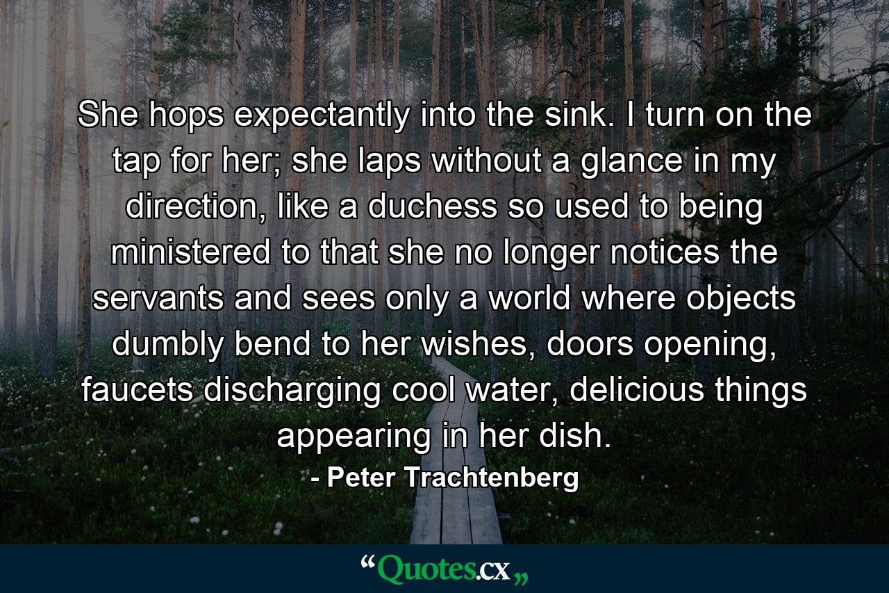 She hops expectantly into the sink. I turn on the tap for her; she laps without a glance in my direction, like a duchess so used to being ministered to that she no longer notices the servants and sees only a world where objects dumbly bend to her wishes, doors opening, faucets discharging cool water, delicious things appearing in her dish. - Quote by Peter Trachtenberg
