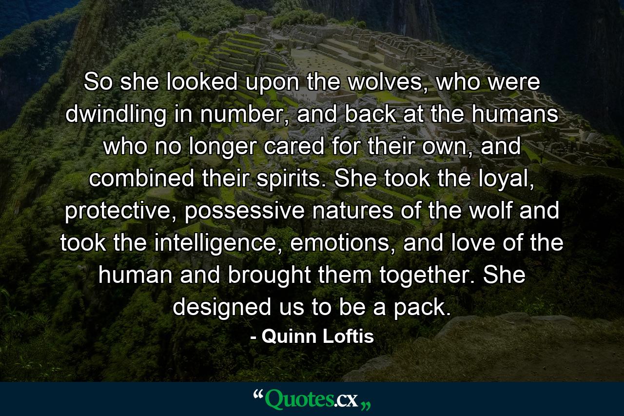 So she looked upon the wolves, who were dwindling in number, and back at the humans who no longer cared for their own, and combined their spirits. She took the loyal, protective, possessive natures of the wolf and took the intelligence, emotions, and love of the human and brought them together. She designed us to be a pack. - Quote by Quinn Loftis