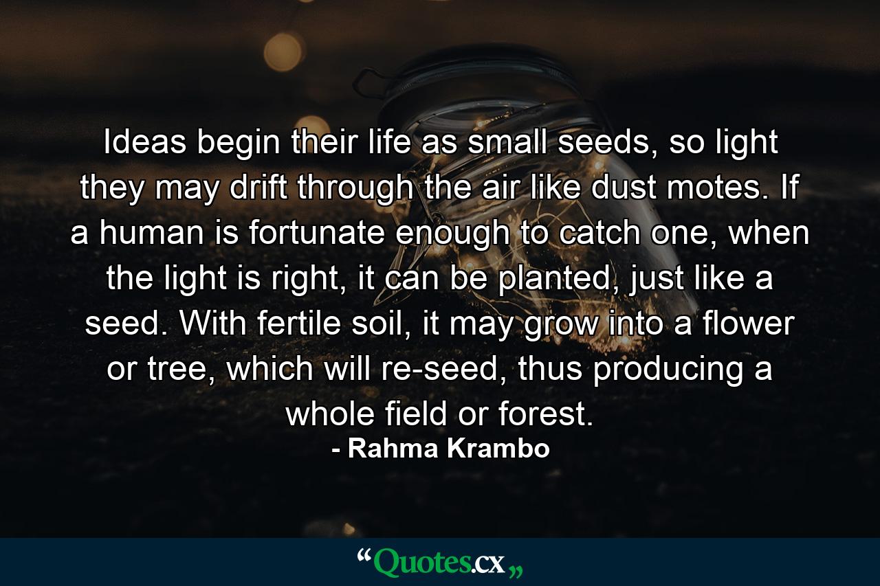 Ideas begin their life as small seeds, so light they may drift through the air like dust motes. If a human is fortunate enough to catch one, when the light is right, it can be planted, just like a seed. With fertile soil, it may grow into a flower or tree, which will re-seed, thus producing a whole field or forest. - Quote by Rahma Krambo