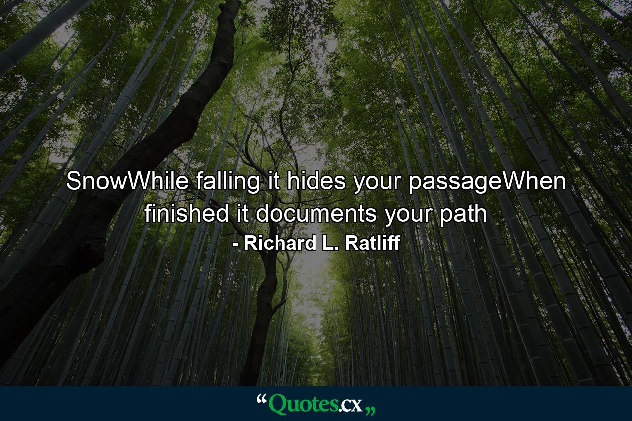 SnowWhile falling it hides your passageWhen finished it documents your path - Quote by Richard L. Ratliff