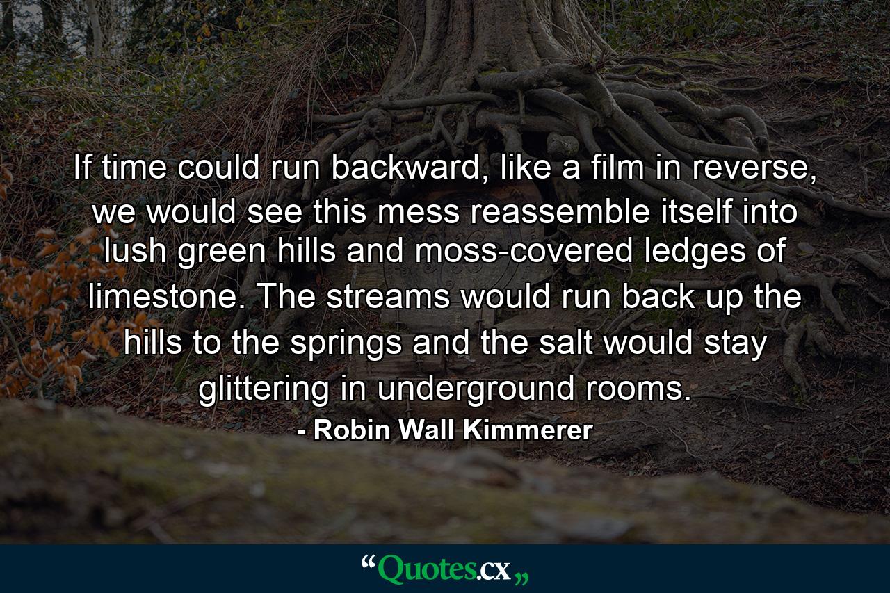 If time could run backward, like a film in reverse, we would see this mess reassemble itself into lush green hills and moss-covered ledges of limestone. The streams would run back up the hills to the springs and the salt would stay glittering in underground rooms. - Quote by Robin Wall Kimmerer