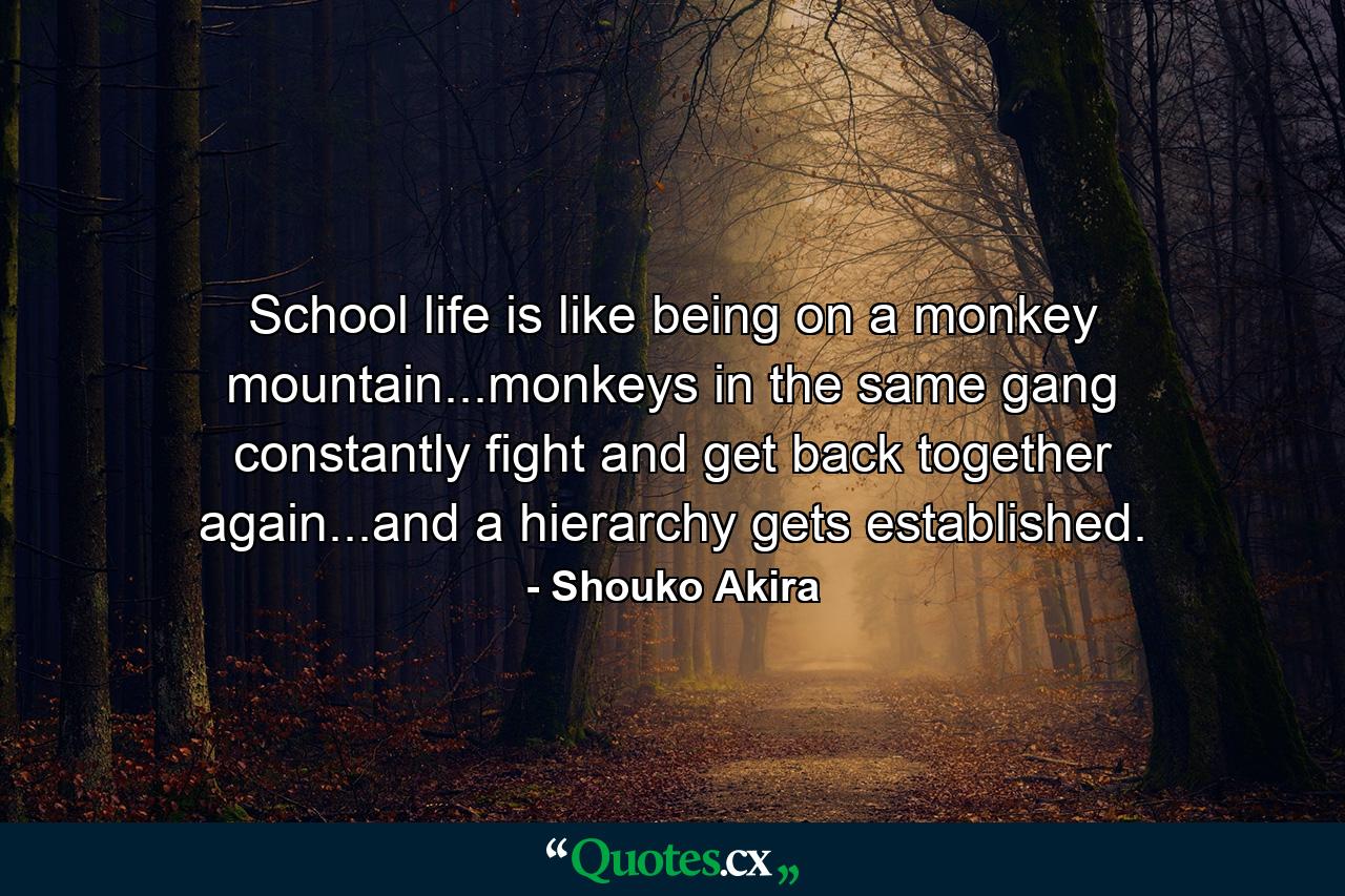 School life is like being on a monkey mountain...monkeys in the same gang constantly fight and get back together again...and a hierarchy gets established. - Quote by Shouko Akira