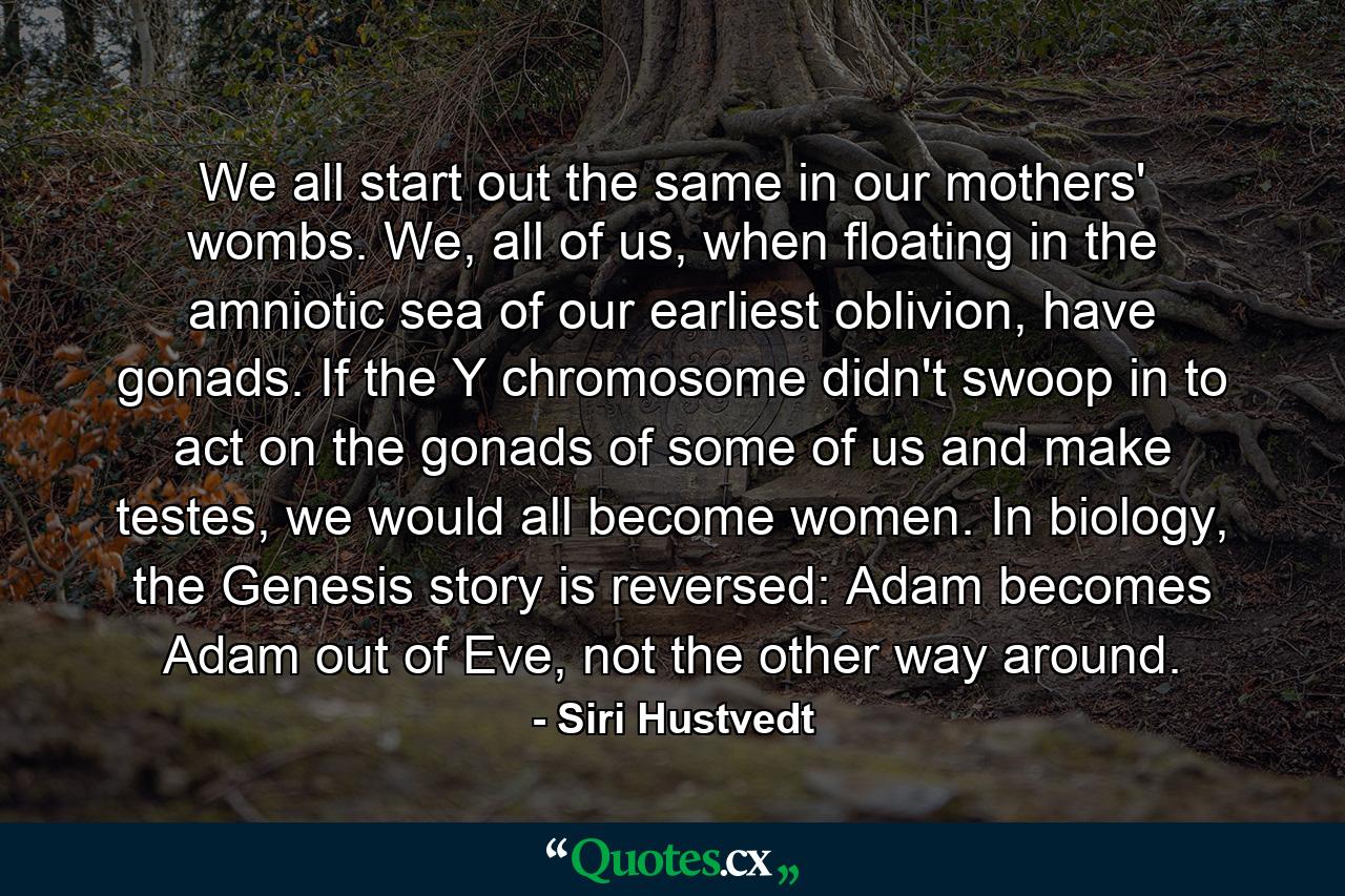 We all start out the same in our mothers' wombs. We, all of us, when floating in the amniotic sea of our earliest oblivion, have gonads. If the Y chromosome didn't swoop in to act on the gonads of some of us and make testes, we would all become women. In biology, the Genesis story is reversed: Adam becomes Adam out of Eve, not the other way around. - Quote by Siri Hustvedt