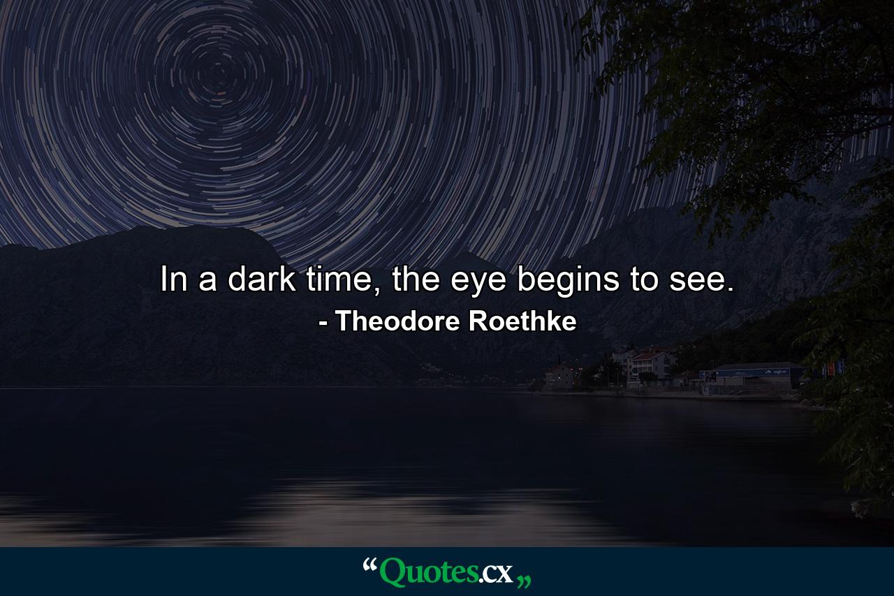 In a dark time, the eye begins to see. - Quote by Theodore Roethke