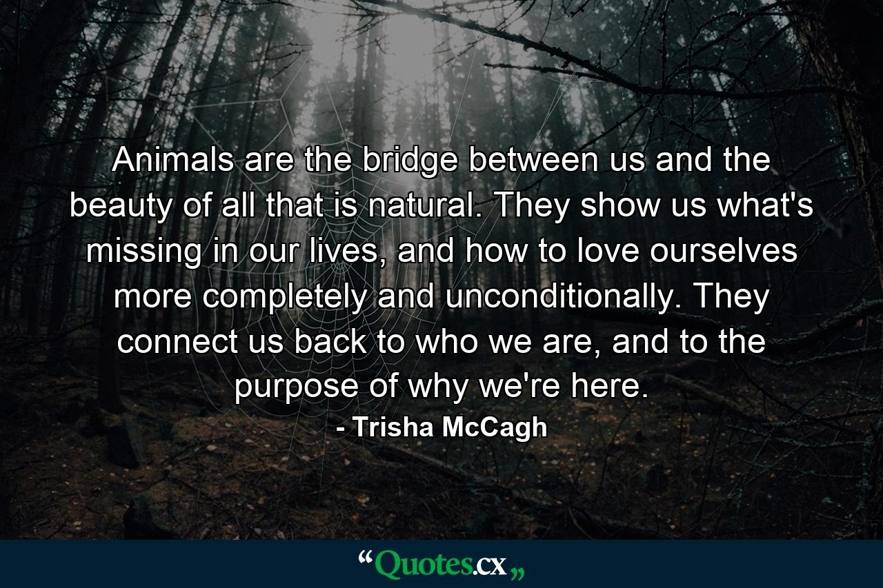 Animals are the bridge between us and the beauty of all that is natural. They show us what's missing in our lives, and how to love ourselves more completely and unconditionally. They connect us back to who we are, and to the purpose of why we're here. - Quote by Trisha McCagh