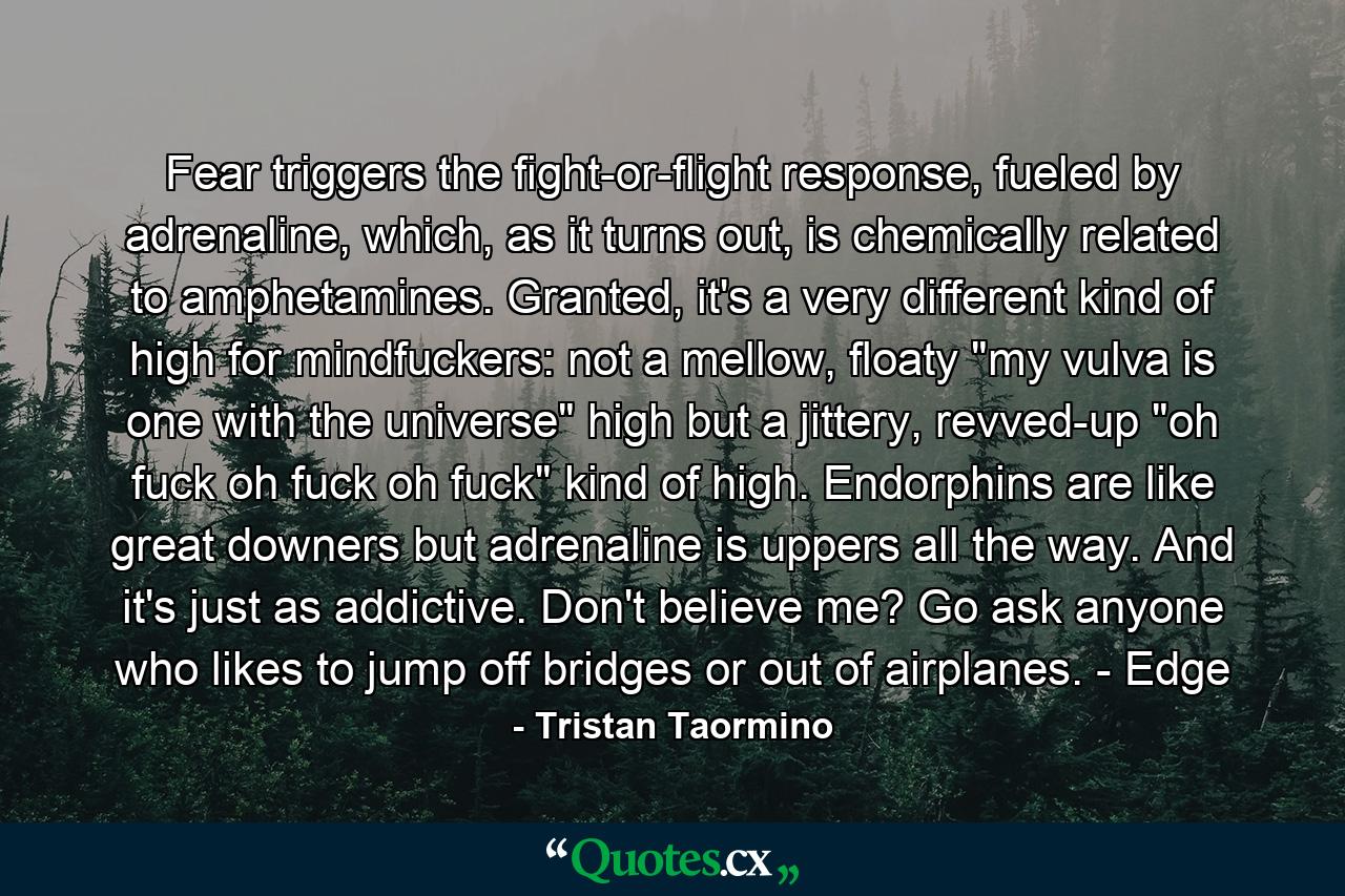 Fear triggers the fight-or-flight response, fueled by adrenaline, which, as it turns out, is chemically related to amphetamines. Granted, it's a very different kind of high for mindfuckers: not a mellow, floaty 