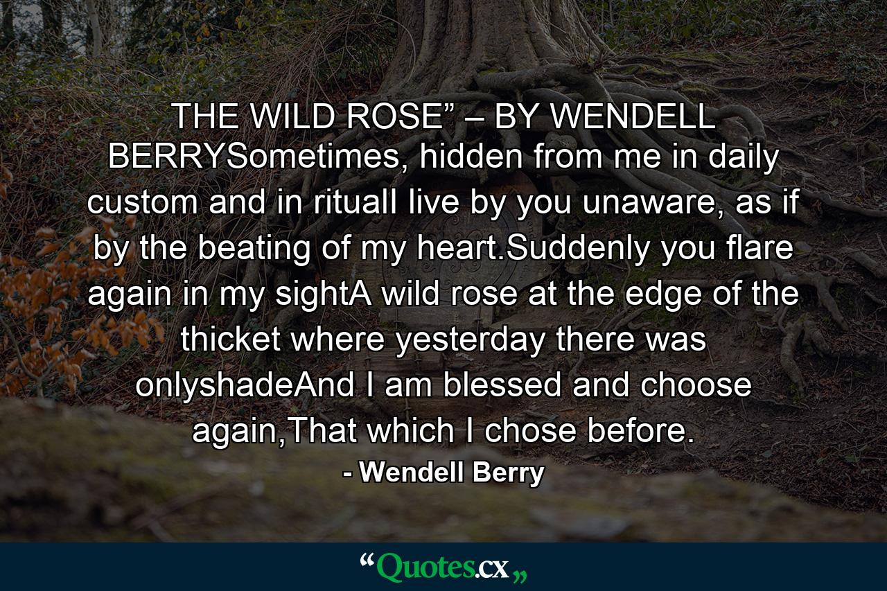 THE WILD ROSE” – BY WENDELL BERRYSometimes, hidden from me in daily custom and in ritualI live by you unaware, as if by the beating of my heart.Suddenly you flare again in my sightA wild rose at the edge of the thicket where yesterday there was onlyshadeAnd I am blessed and choose again,That which I chose before. - Quote by Wendell Berry