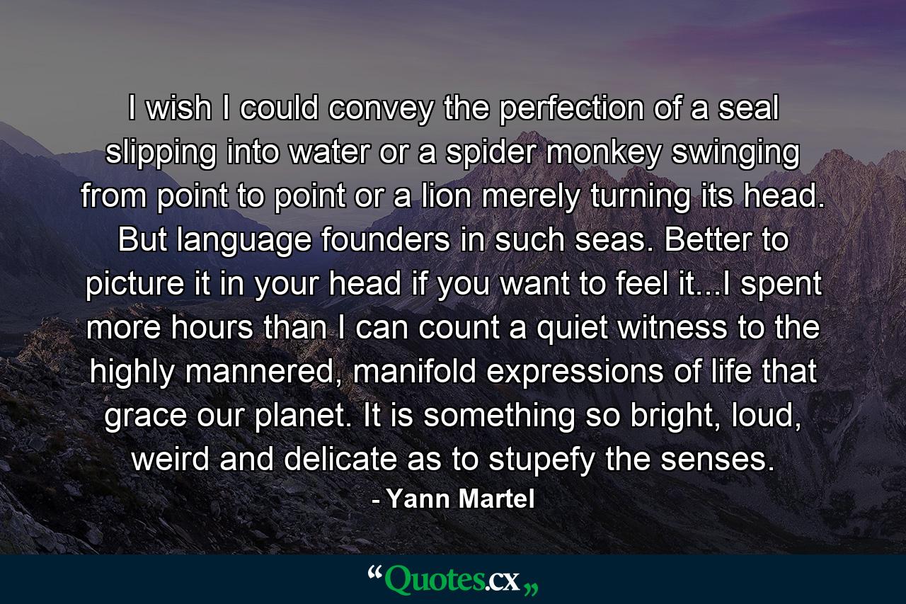 I wish I could convey the perfection of a seal slipping into water or a spider monkey swinging from point to point or a lion merely turning its head. But language founders in such seas. Better to picture it in your head if you want to feel it...I spent more hours than I can count a quiet witness to the highly mannered, manifold expressions of life that grace our planet. It is something so bright, loud, weird and delicate as to stupefy the senses. - Quote by Yann Martel