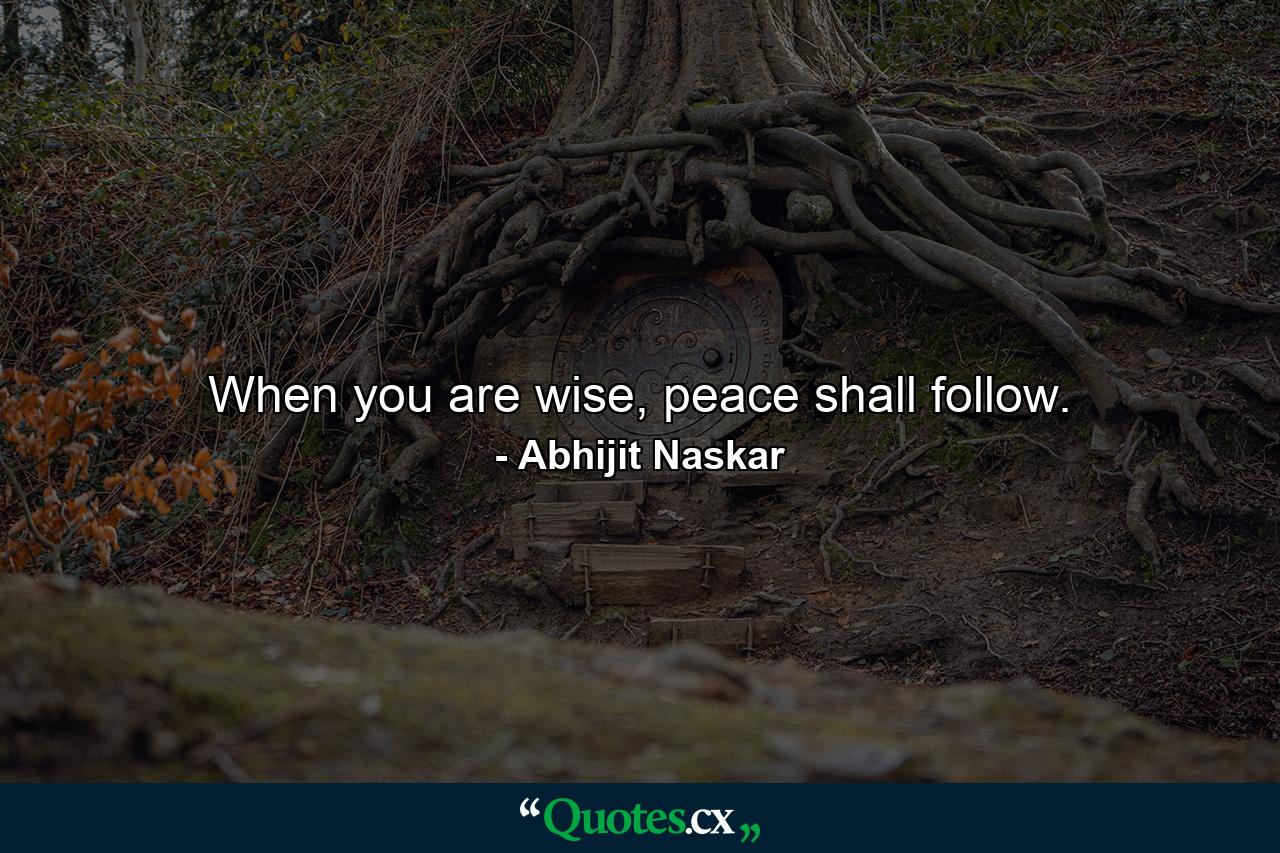 When you are wise, peace shall follow. - Quote by Abhijit Naskar