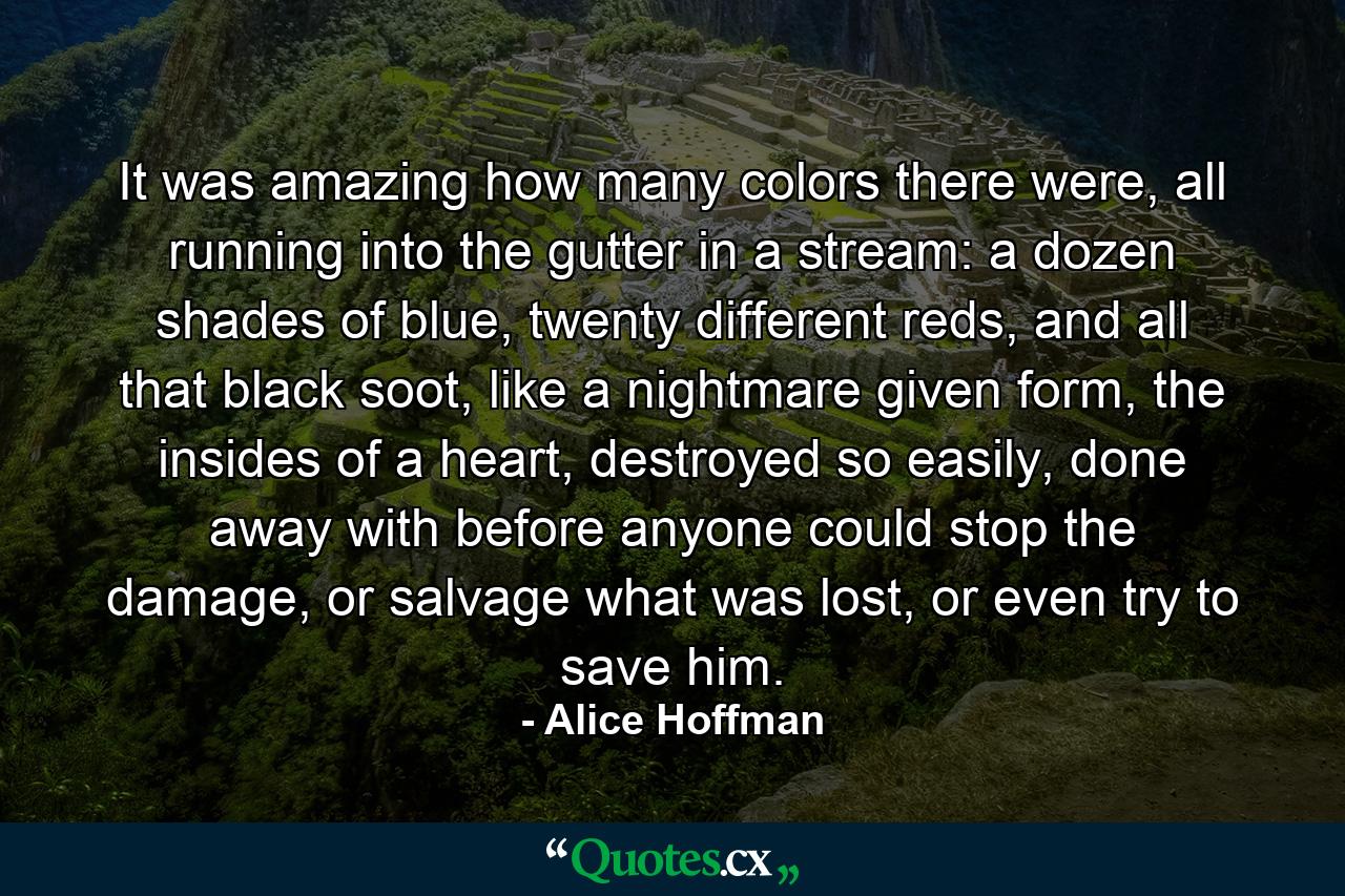 It was amazing how many colors there were, all running into the gutter in a stream: a dozen shades of blue, twenty different reds, and all that black soot, like a nightmare given form, the insides of a heart, destroyed so easily, done away with before anyone could stop the damage, or salvage what was lost, or even try to save him. - Quote by Alice Hoffman