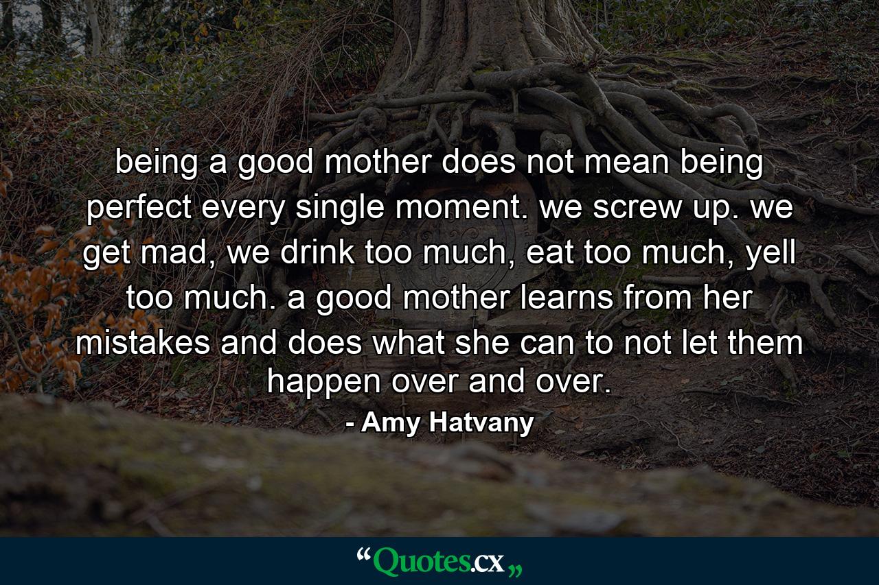 being a good mother does not mean being perfect every single moment. we screw up. we get mad, we drink too much, eat too much, yell too much. a good mother learns from her mistakes and does what she can to not let them happen over and over. - Quote by Amy Hatvany