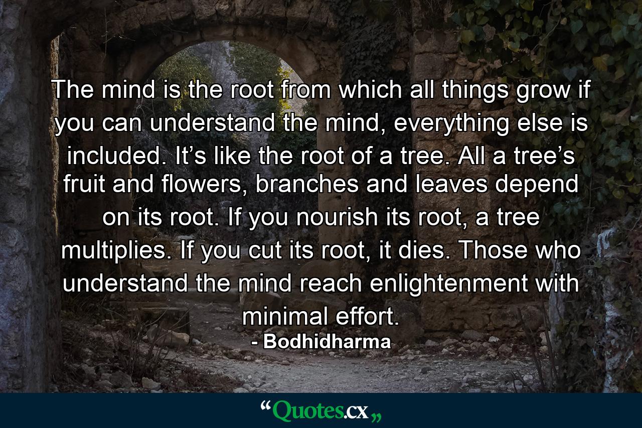 The mind is the root from which all things grow if you can understand the mind, everything else is included. It’s like the root of a tree. All a tree’s fruit and flowers, branches and leaves depend on its root. If you nourish its root, a tree multiplies. If you cut its root, it dies. Those who understand the mind reach enlightenment with minimal effort. - Quote by Bodhidharma