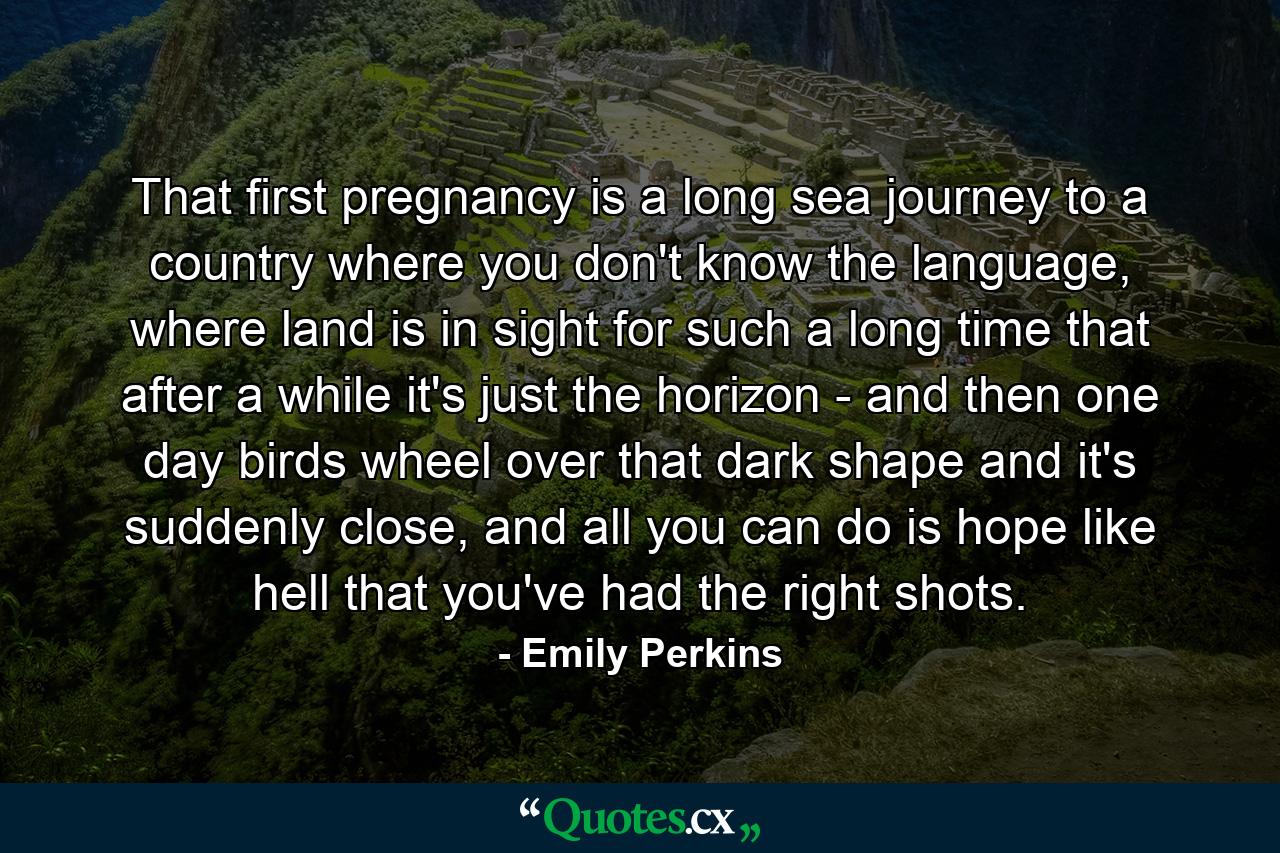 That first pregnancy is a long sea journey to a country where you don't know the language, where land is in sight for such a long time that after a while it's just the horizon - and then one day birds wheel over that dark shape and it's suddenly close, and all you can do is hope like hell that you've had the right shots. - Quote by Emily Perkins