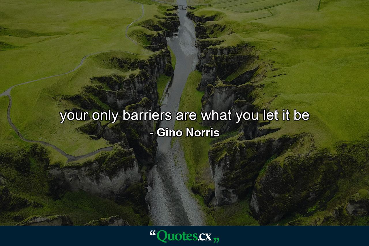 your only barriers are what you let it be - Quote by Gino Norris