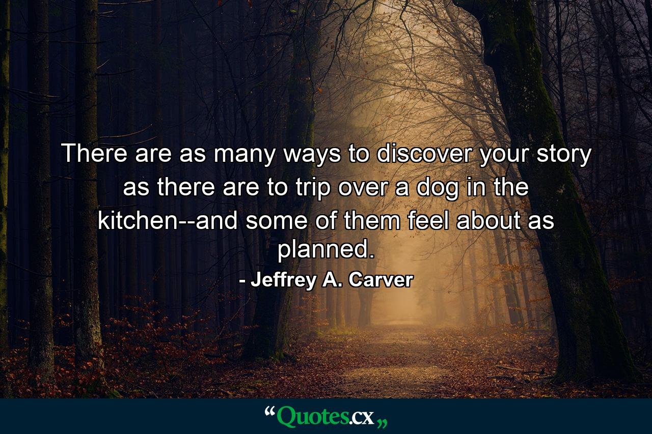 There are as many ways to discover your story as there are to trip over a dog in the kitchen--and some of them feel about as planned. - Quote by Jeffrey A. Carver