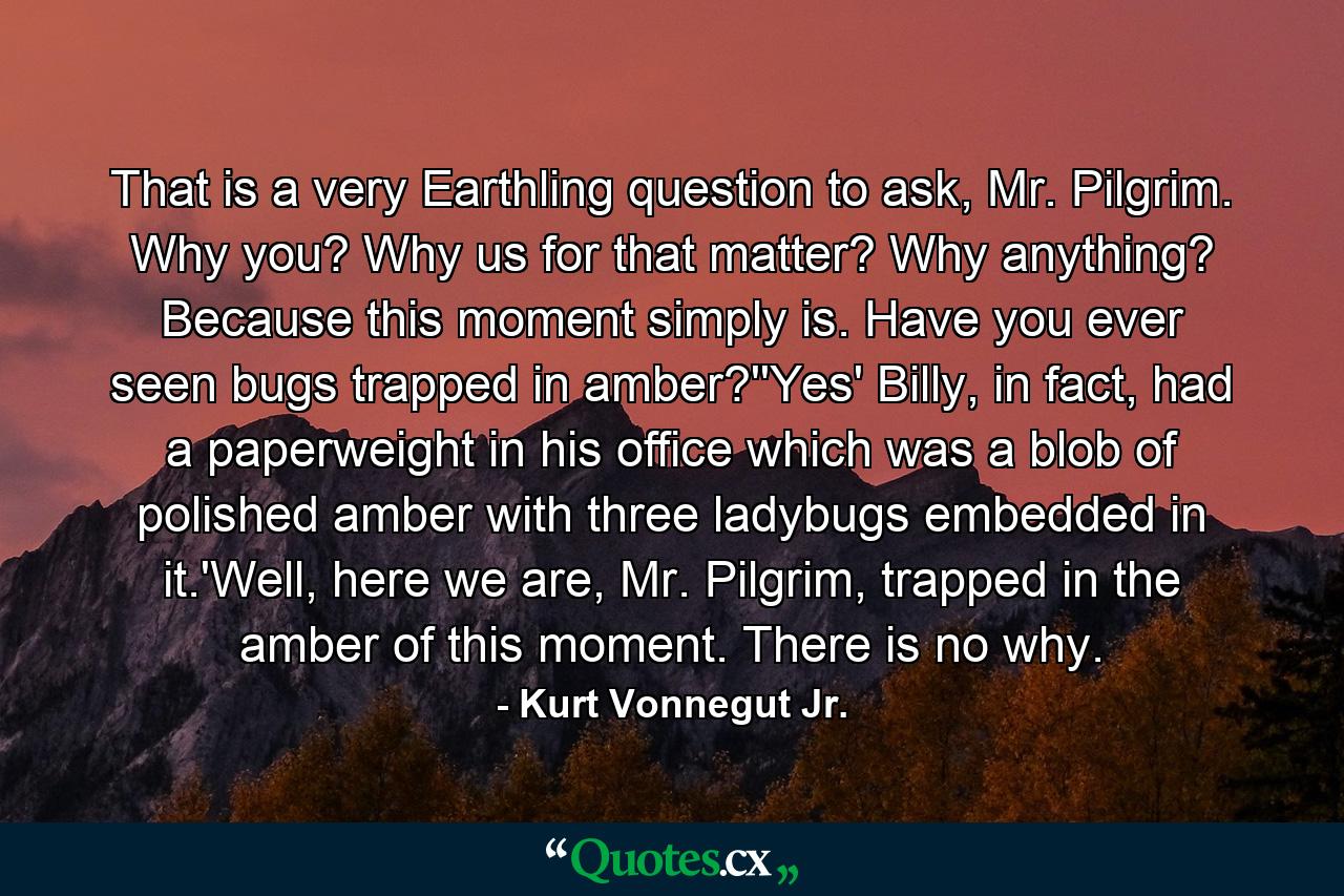 That is a very Earthling question to ask, Mr. Pilgrim. Why you? Why us for that matter? Why anything? Because this moment simply is. Have you ever seen bugs trapped in amber?''Yes' Billy, in fact, had a paperweight in his office which was a blob of polished amber with three ladybugs embedded in it.'Well, here we are, Mr. Pilgrim, trapped in the amber of this moment. There is no why. - Quote by Kurt Vonnegut Jr.