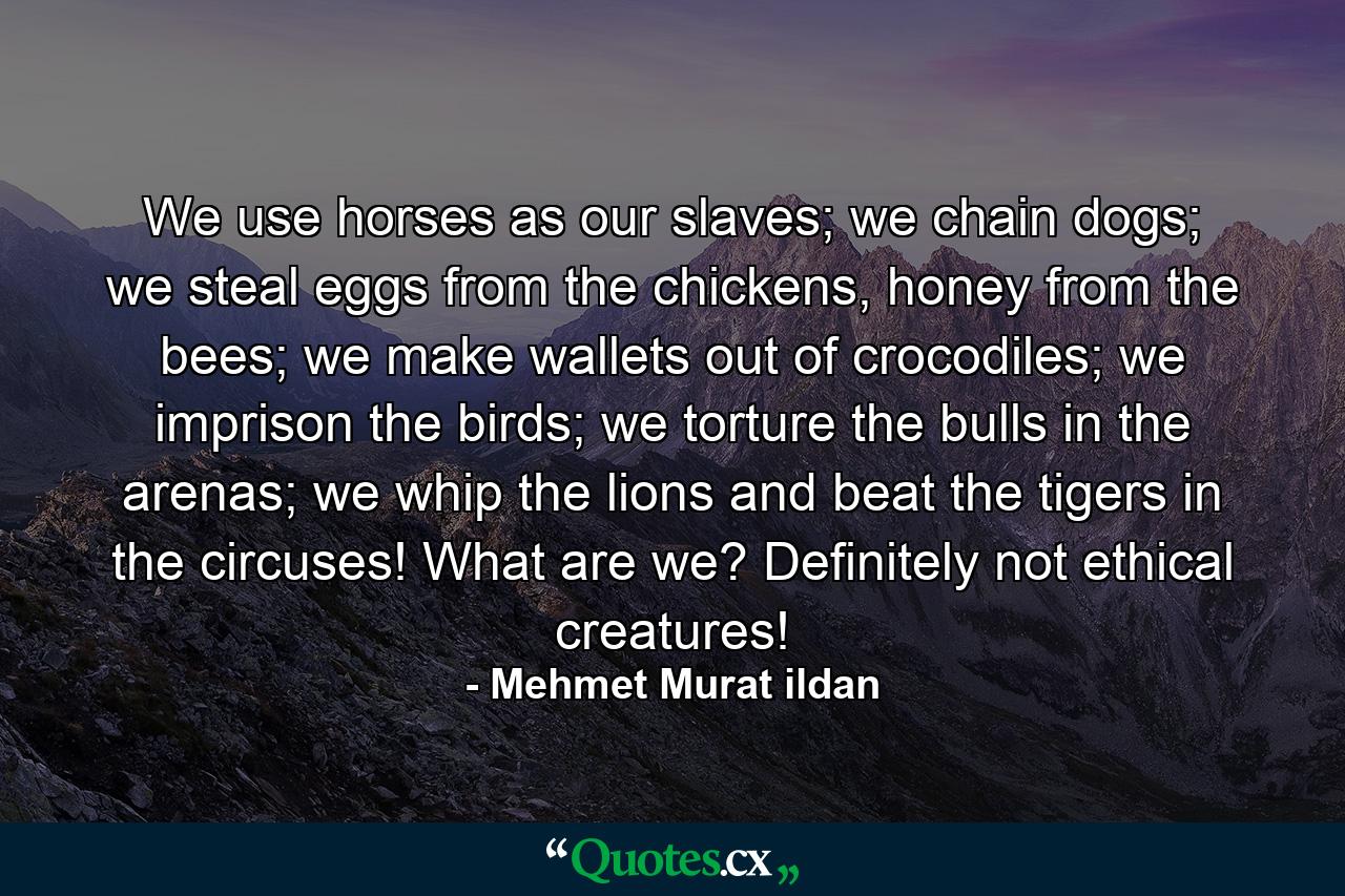 We use horses as our slaves; we chain dogs; we steal eggs from the chickens, honey from the bees; we make wallets out of crocodiles; we imprison the birds; we torture the bulls in the arenas; we whip the lions and beat the tigers in the circuses! What are we? Definitely not ethical creatures! - Quote by Mehmet Murat ildan