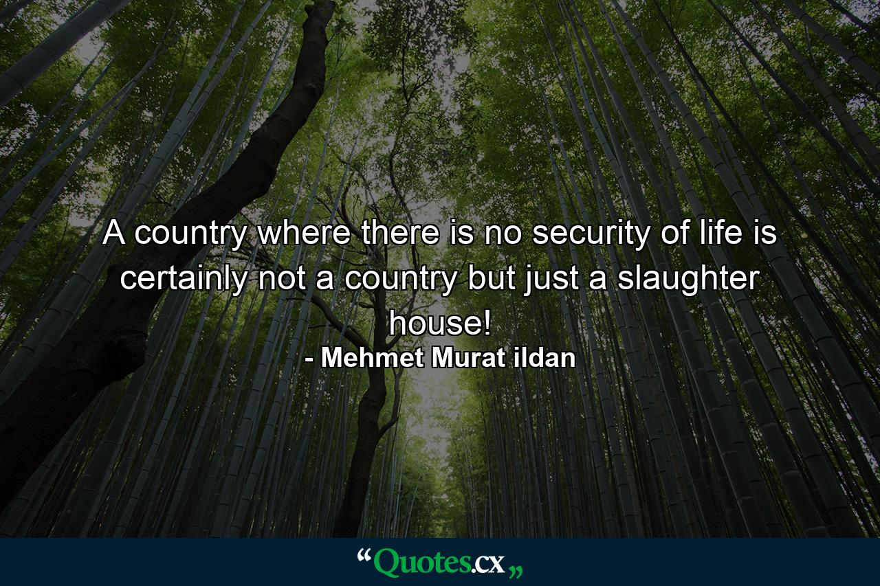 A country where there is no security of life is certainly not a country but just a slaughter house! - Quote by Mehmet Murat ildan
