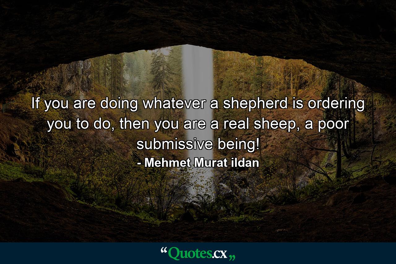 If you are doing whatever a shepherd is ordering you to do, then you are a real sheep, a poor submissive being! - Quote by Mehmet Murat ildan