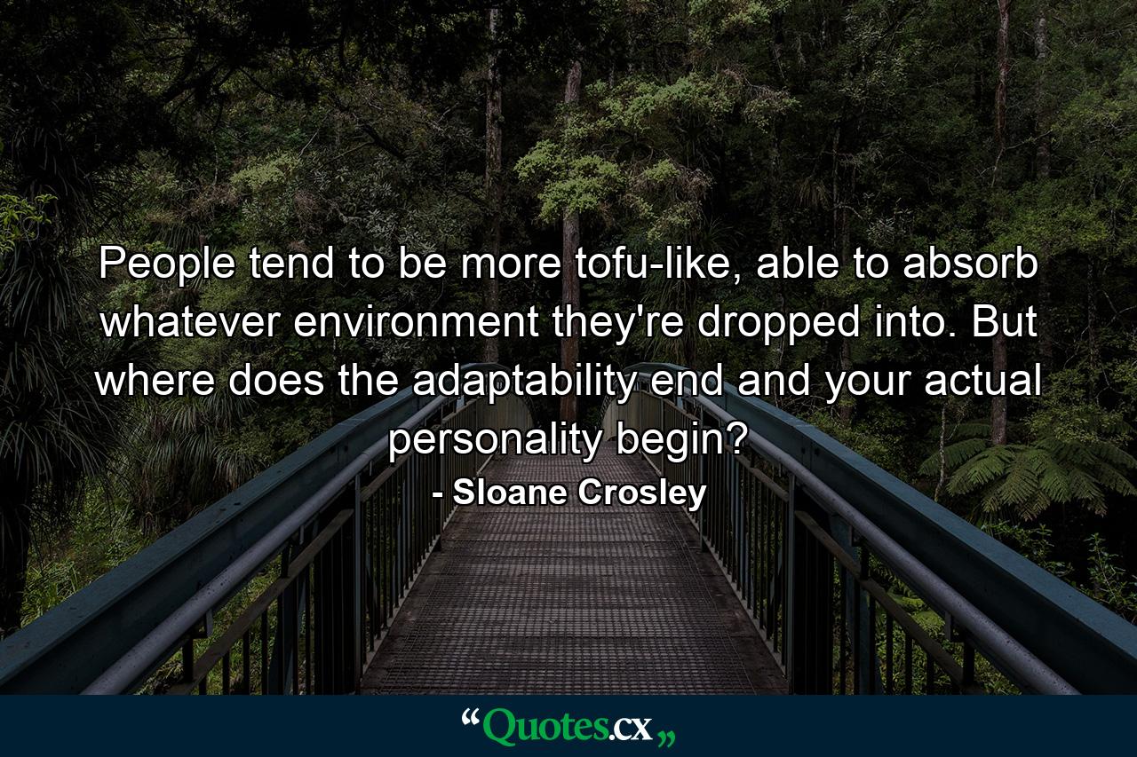 People tend to be more tofu-like, able to absorb whatever environment they're dropped into. But where does the adaptability end and your actual personality begin? - Quote by Sloane Crosley