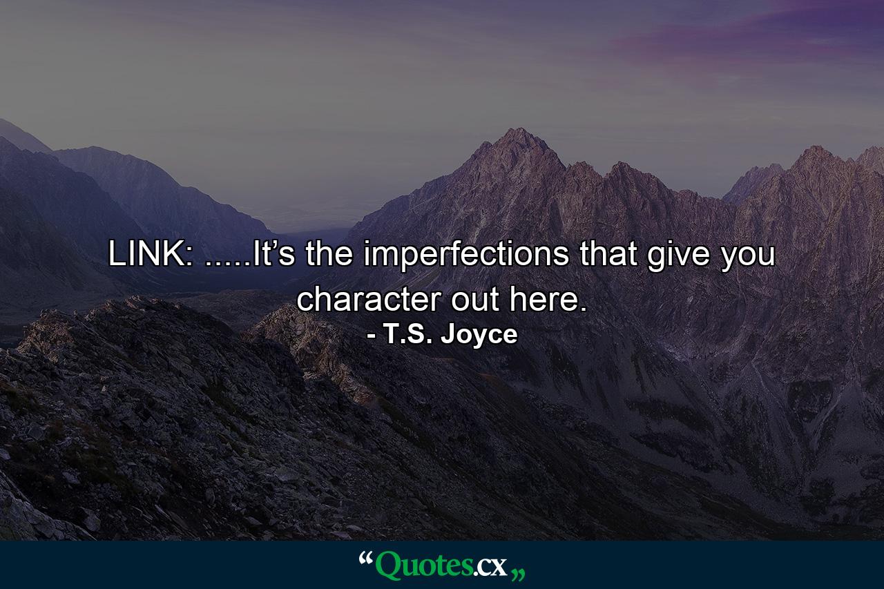 LINK: .....It’s the imperfections that give you character out here. - Quote by T.S. Joyce