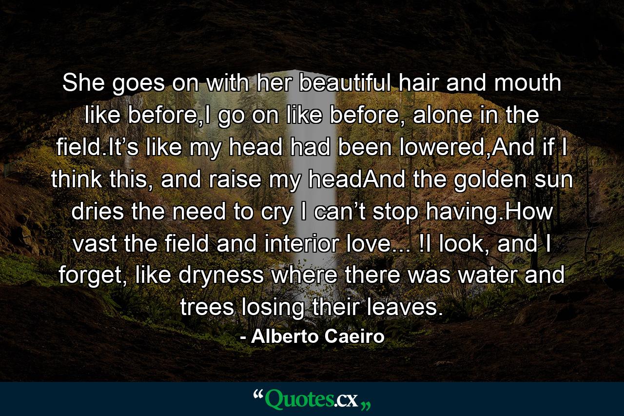 She goes on with her beautiful hair and mouth like before,I go on like before, alone in the field.It’s like my head had been lowered,And if I think this, and raise my headAnd the golden sun dries the need to cry I can’t stop having.How vast the field and interior love... !I look, and I forget, like dryness where there was water and trees losing their leaves. - Quote by Alberto Caeiro