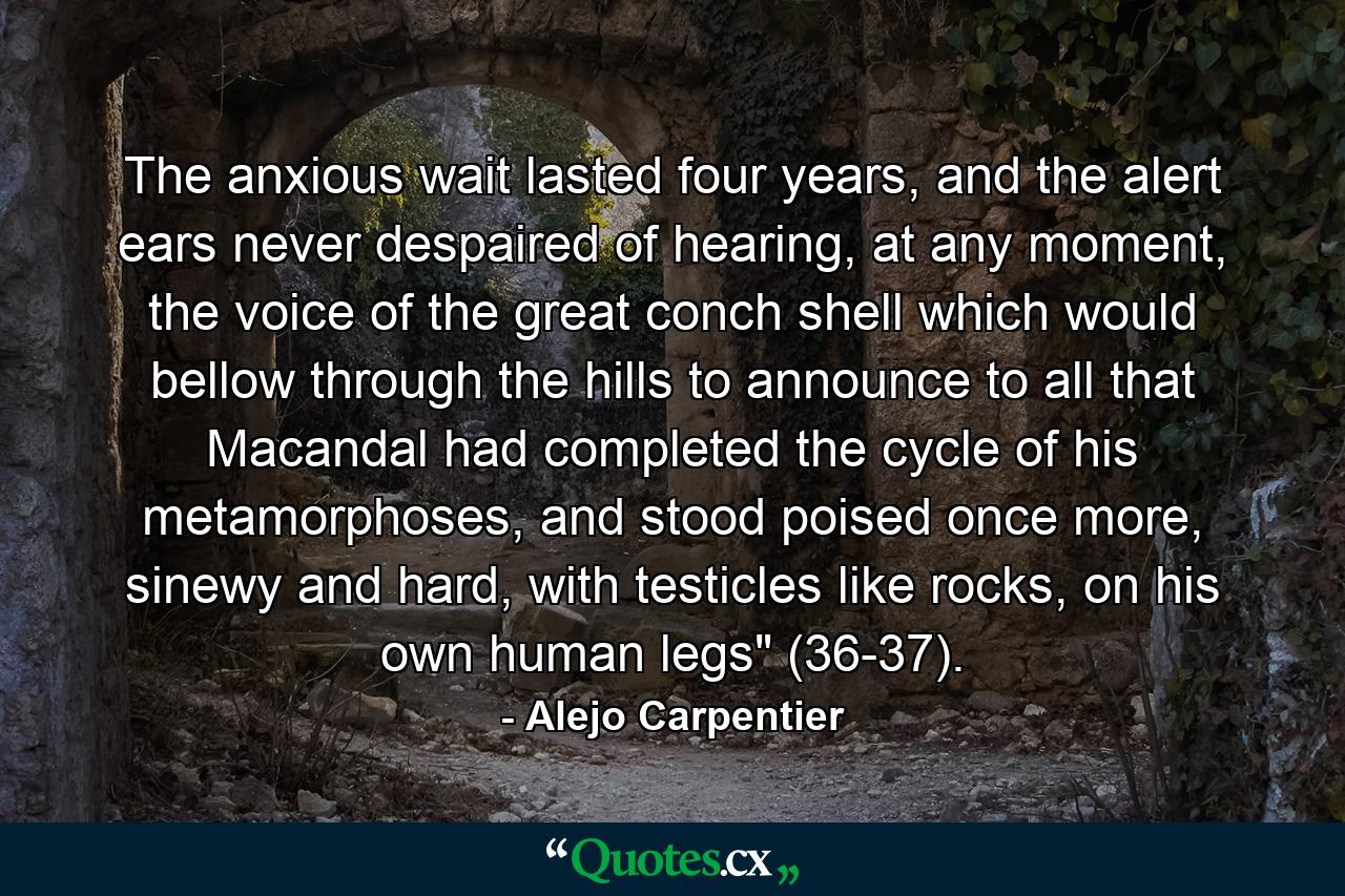 The anxious wait lasted four years, and the alert ears never despaired of hearing, at any moment, the voice of the great conch shell which would bellow through the hills to announce to all that Macandal had completed the cycle of his metamorphoses, and stood poised once more, sinewy and hard, with testicles like rocks, on his own human legs