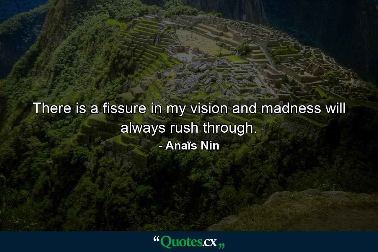 There is a fissure in my vision and madness will always rush through. - Quote by Anaïs Nin