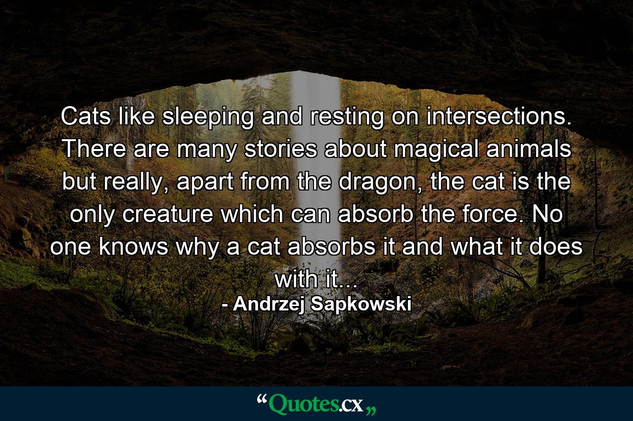 Cats like sleeping and resting on intersections. There are many stories about magical animals but really, apart from the dragon, the cat is the only creature which can absorb the force. No one knows why a cat absorbs it and what it does with it... - Quote by Andrzej Sapkowski