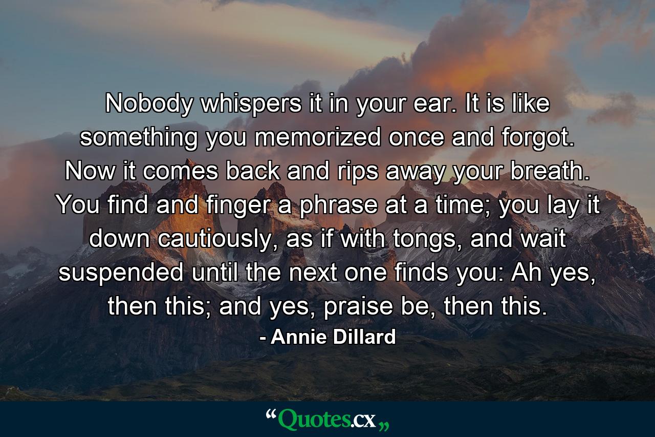 Nobody whispers it in your ear. It is like something you memorized once and forgot. Now it comes back and rips away your breath. You find and finger a phrase at a time; you lay it down cautiously, as if with tongs, and wait suspended until the next one finds you: Ah yes, then this; and yes, praise be, then this. - Quote by Annie Dillard