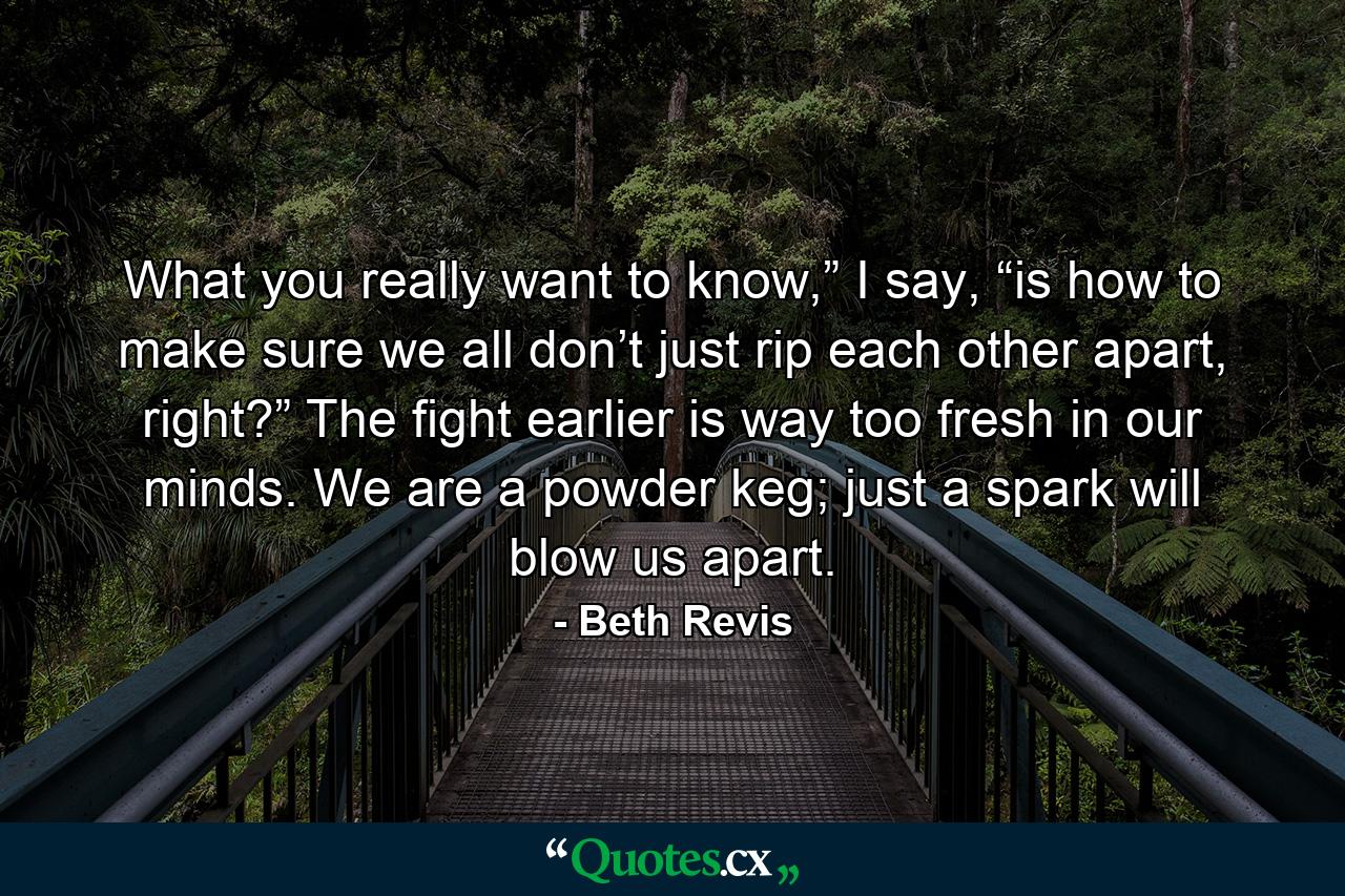 What you really want to know,” I say, “is how to make sure we all don’t just rip each other apart, right?” The fight earlier is way too fresh in our minds. We are a powder keg; just a spark will blow us apart. - Quote by Beth Revis