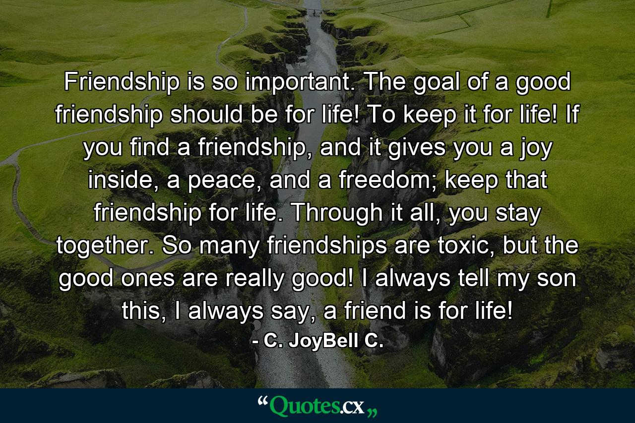 Friendship is so important. The goal of a good friendship should be for life! To keep it for life! If you find a friendship, and it gives you a joy inside, a peace, and a freedom; keep that friendship for life. Through it all, you stay together. So many friendships are toxic, but the good ones are really good! I always tell my son this, I always say, a friend is for life! - Quote by C. JoyBell C.