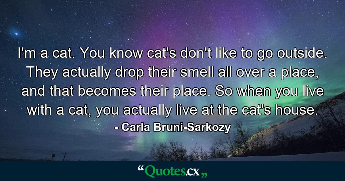 I'm a cat. You know cat's don't like to go outside. They actually drop their smell all over a place, and that becomes their place. So when you live with a cat, you actually live at the cat's house. - Quote by Carla Bruni-Sarkozy