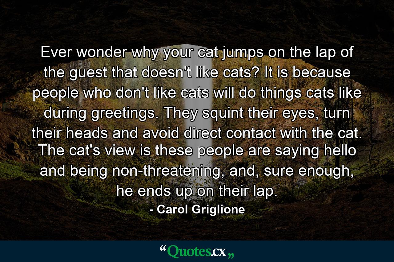 Ever wonder why your cat jumps on the lap of the guest that doesn't like cats? It is because people who don't like cats will do things cats like during greetings. They squint their eyes, turn their heads and avoid direct contact with the cat. The cat's view is these people are saying hello and being non-threatening, and, sure enough, he ends up on their lap. - Quote by Carol Griglione