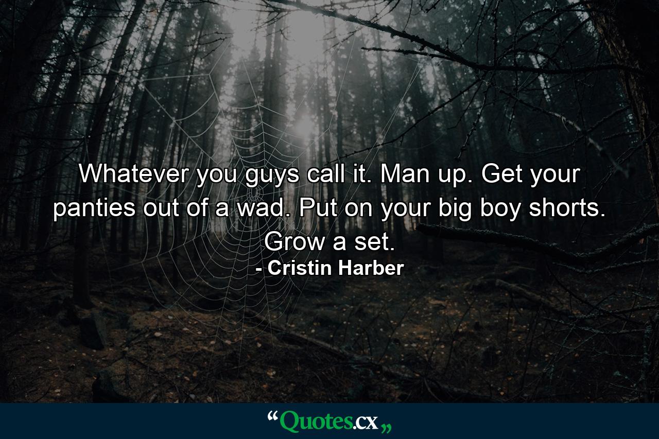 Whatever you guys call it. Man up. Get your panties out of a wad. Put on your big boy shorts. Grow a set. - Quote by Cristin Harber