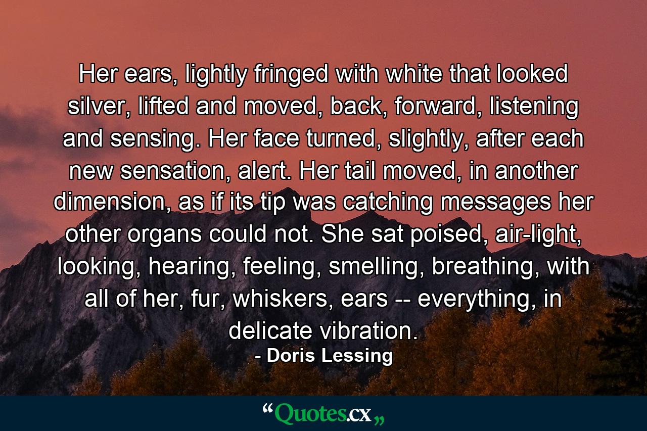 Her ears, lightly fringed with white that looked silver, lifted and moved, back, forward, listening and sensing. Her face turned, slightly, after each new sensation, alert. Her tail moved, in another dimension, as if its tip was catching messages her other organs could not. She sat poised, air-light, looking, hearing, feeling, smelling, breathing, with all of her, fur, whiskers, ears -- everything, in delicate vibration. - Quote by Doris Lessing