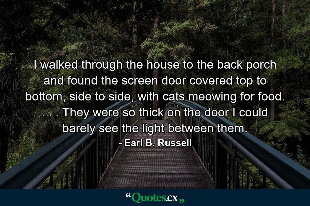 I walked through the house to the back porch and found the screen door covered top to bottom, side to side, with cats meowing for food. . . . They were so thick on the door I could barely see the light between them. - Quote by Earl B. Russell