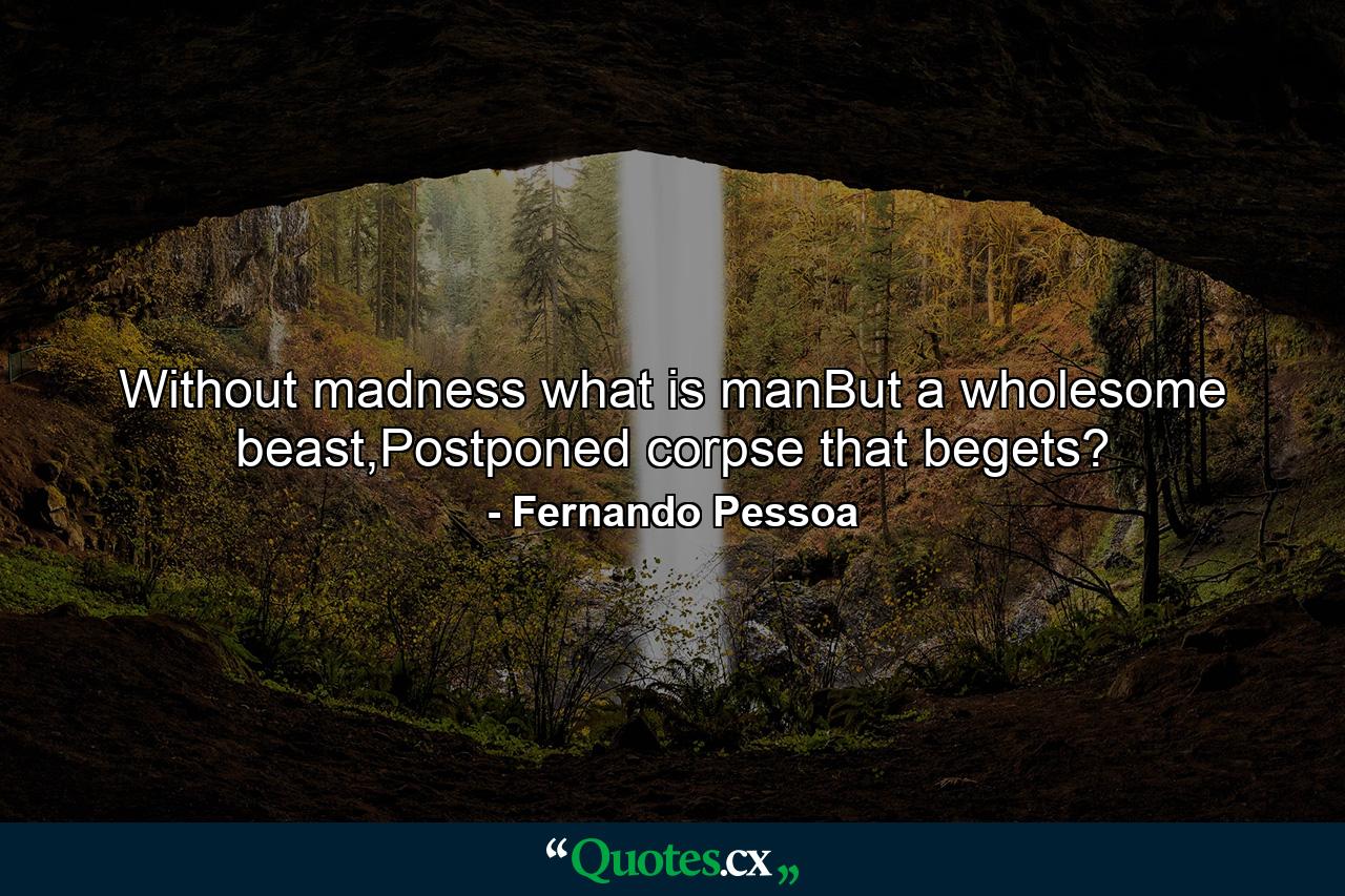 Without madness what is manBut a wholesome beast,Postponed corpse that begets? - Quote by Fernando Pessoa