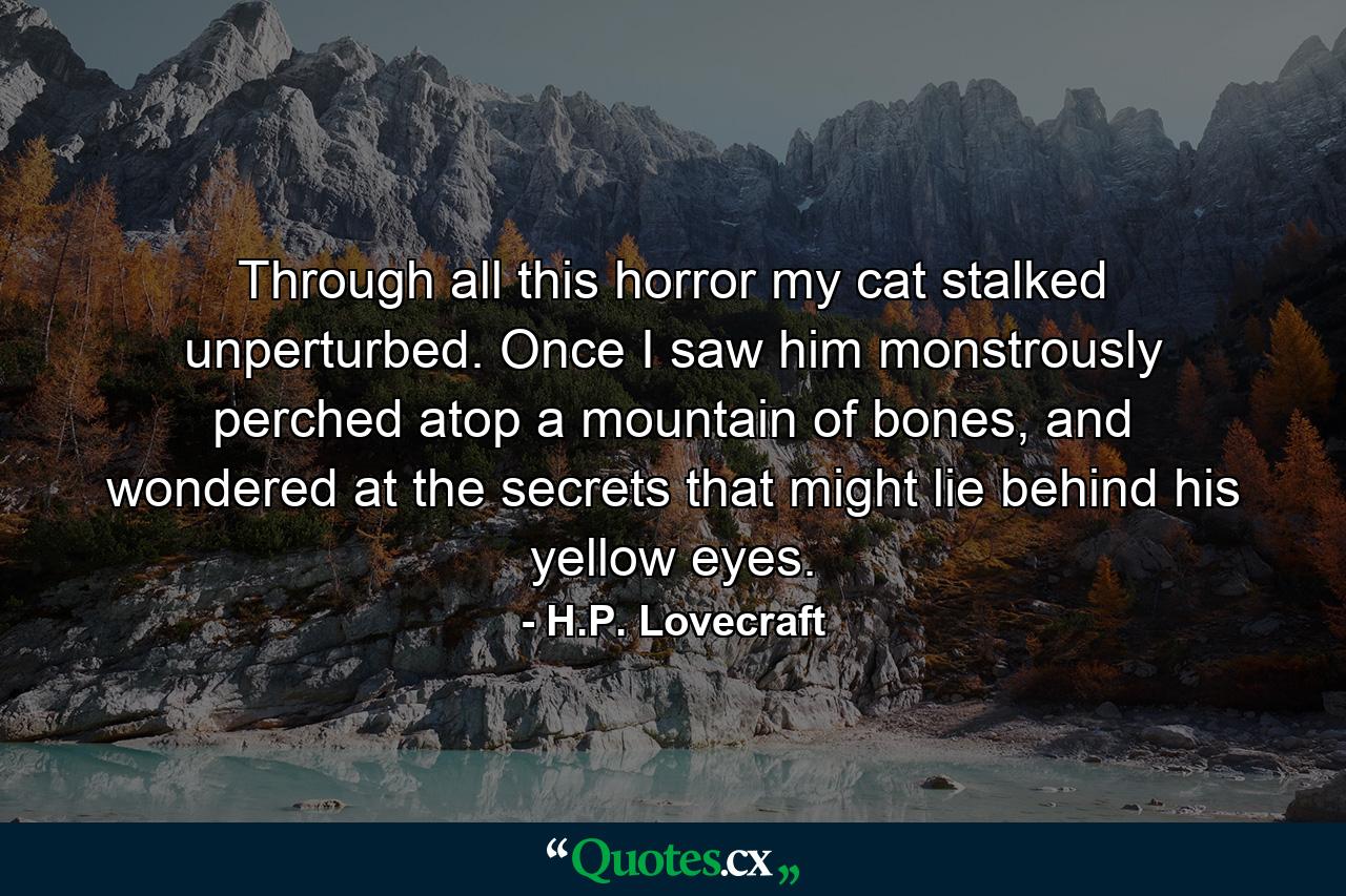 Through all this horror my cat stalked unperturbed. Once I saw him monstrously perched atop a mountain of bones, and wondered at the secrets that might lie behind his yellow eyes. - Quote by H.P. Lovecraft