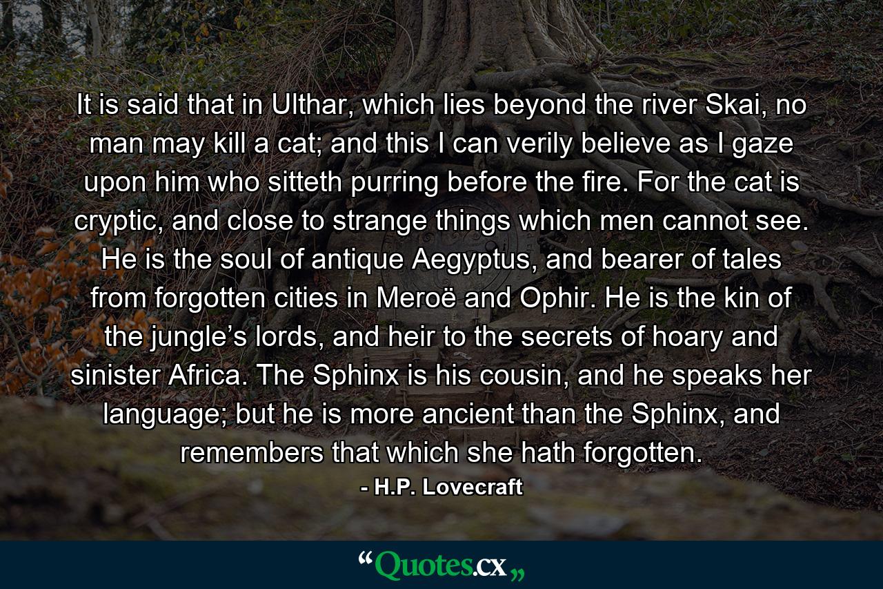 It is said that in Ulthar, which lies beyond the river Skai, no man may kill a cat; and this I can verily believe as I gaze upon him who sitteth purring before the fire. For the cat is cryptic, and close to strange things which men cannot see. He is the soul of antique Aegyptus, and bearer of tales from forgotten cities in Meroë and Ophir. He is the kin of the jungle’s lords, and heir to the secrets of hoary and sinister Africa. The Sphinx is his cousin, and he speaks her language; but he is more ancient than the Sphinx, and remembers that which she hath forgotten. - Quote by H.P. Lovecraft