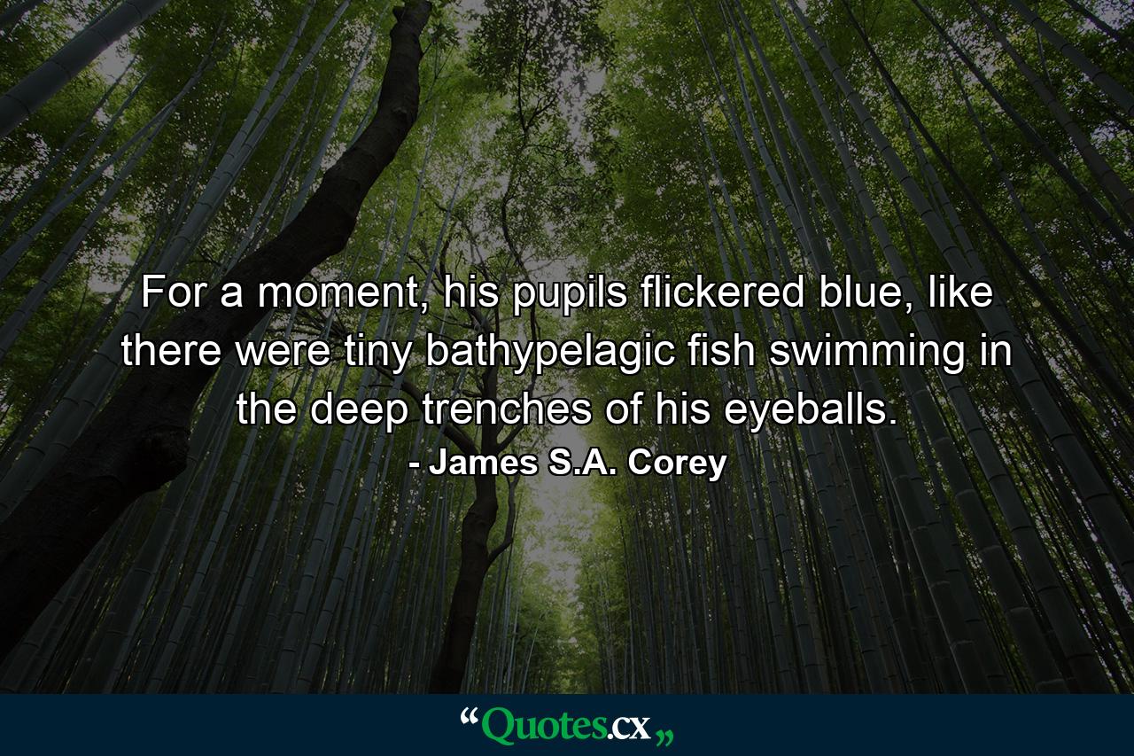 For a moment, his pupils flickered blue, like there were tiny bathypelagic fish swimming in the deep trenches of his eyeballs. - Quote by James S.A. Corey