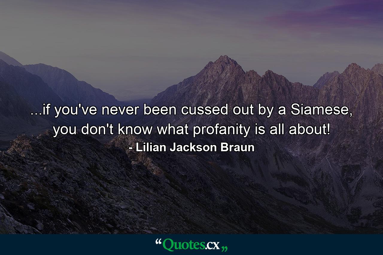 ...if you've never been cussed out by a Siamese, you don't know what profanity is all about! - Quote by Lilian Jackson Braun