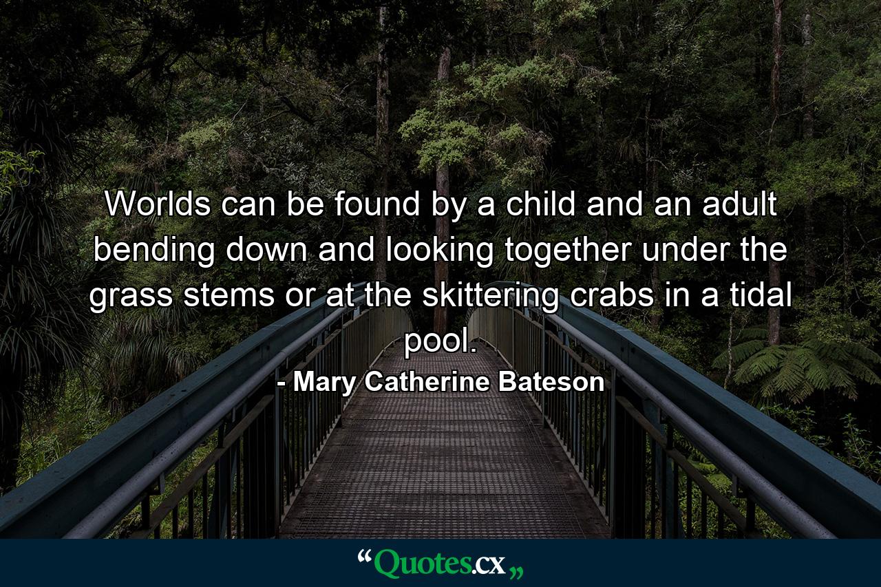 Worlds can be found by a child and an adult bending down and looking together under the grass stems or at the skittering crabs in a tidal pool. - Quote by Mary Catherine Bateson