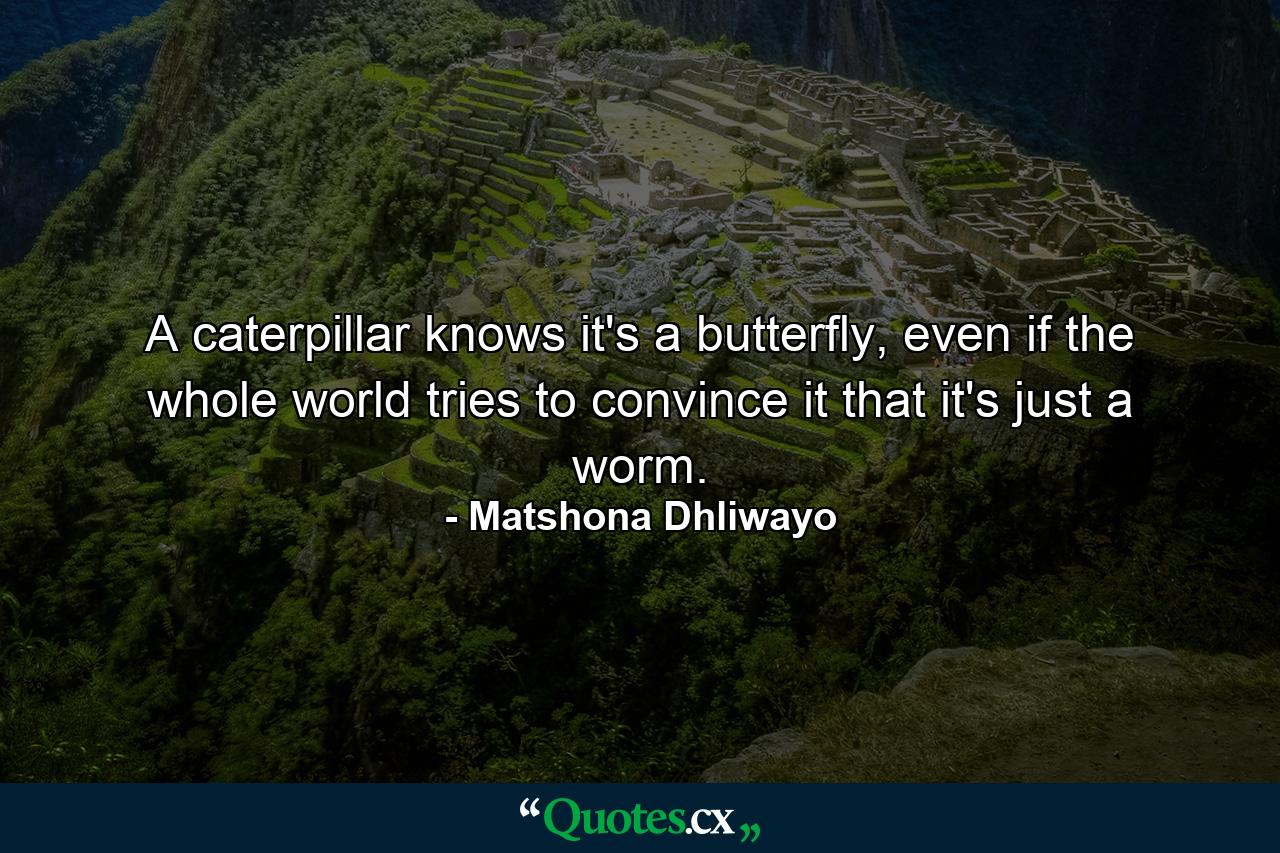 A caterpillar knows it's a butterfly, even if the whole world tries to convince it that it's just a worm. - Quote by Matshona Dhliwayo